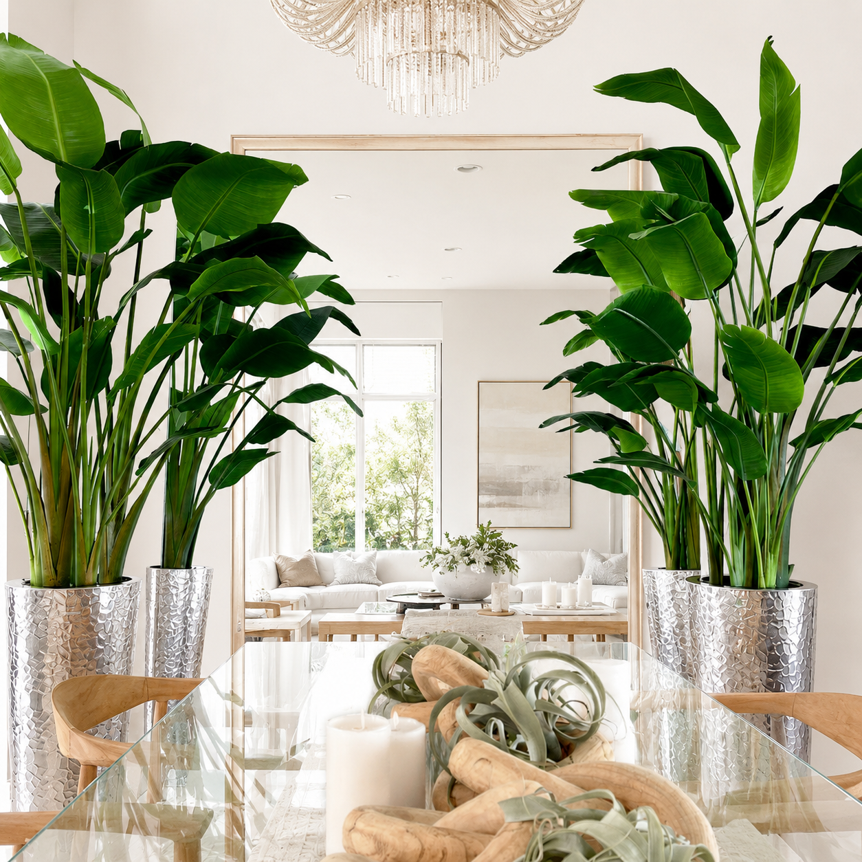 Ave del Paraíso en Cono de Acero Inoxidable Martillado Plateado para decoración de interiores | Vareluma