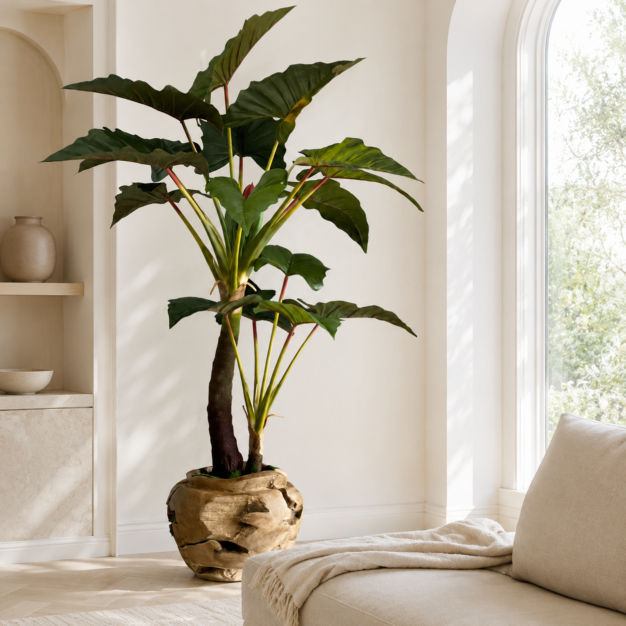 Alocasia en Cuenco Grande de Teca Tallado para decoración de interiores | Vareluma