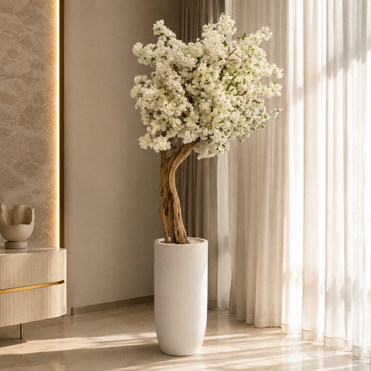 Cerezo Blanco en Macetero St. Tropez Beige Mate para decoración de interiores | Vareluma