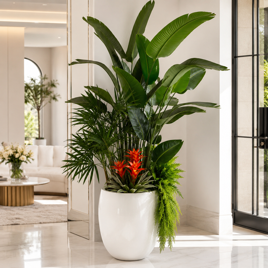 Plantas Tropicales en Macetero Blanco Lacado para decoración de interiores | Vareluma