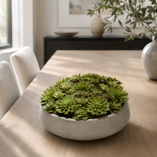 Cuenco Newport XL con Suculentas para decoración de interiores | Vareluma