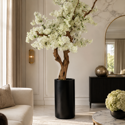 Cerezo Blanco en Macetero St. Tropez Negro Mate para decoración de interiores | Vareluma