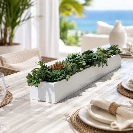Suculentas en Macetero Balcón para decoración de interiores | Vareluma