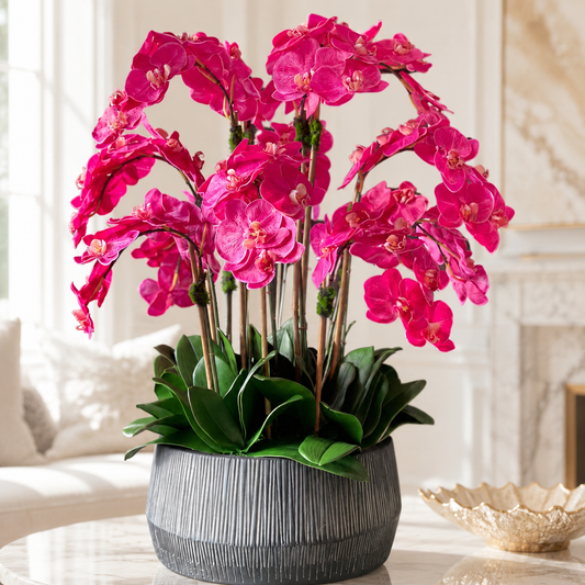 Cuenco Java Negro con Orquídeas Phalaenopsis Rosas para decoración de interiores | Vareluma