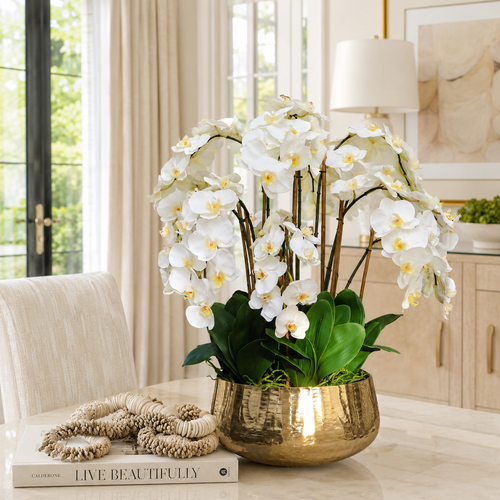 Orquídeas Phalaenopsis en Macetero Dorado para decoración de interiores | Vareluma