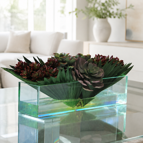Suculentas Mixtas en Bandeja de Vidrio 51 cm para decoración de interiores | Vareluma