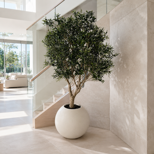 Olivo en Jarrón Globo Beige Mate para decoración de interiores | Vareluma