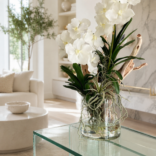 Orquídeas Vanda y Madera Flotante en Cilindro de Vidrio para decoración de interiores | Vareluma